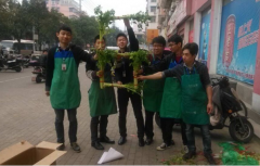 6號店的6個男人