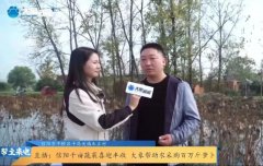 疫情無情人有情 百家助農(nóng)獻(xiàn)愛心